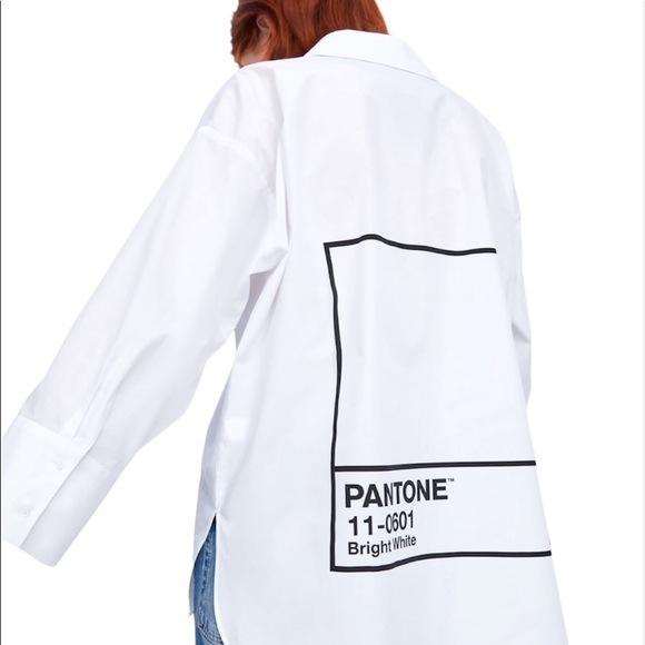 🌱 Zara x Pantone - Picture 3 of 9